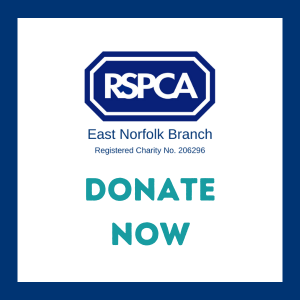 RSPCA East Norfolk Donate Now